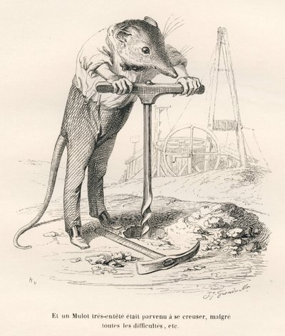 Markmus som stikker hull på bakken. Vignetter illustrert av JJ Granville. Gravering signert Breviere i delen med tittelen "Memories of an old crow" skrevet av PJ Stahl i "Scener fra dyrenes private og offentlige liv". Paris, J. Hetzel og Paulin av Grandville