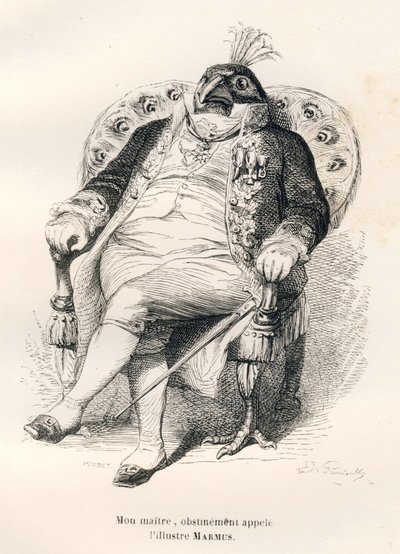 Påfugl sitter i stolen sin. Vignetter illustrert av JJ Granville. Gravering signert Porret i delen med tittelen "Guide-esel for bruk av dyr som ønsker å oppnå heder" skrevet av Honore De Balzac i "Scener av privat og offentlig liv i en av Grandville