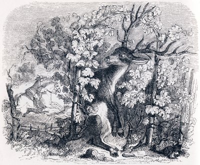 Hjorten og vintreet - Fables av La Fontaine av Grandville