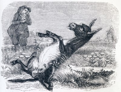 Den gamle mannen og reven (Le vieillard et l