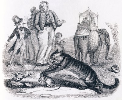 Rotten og elefanten (le rat et l