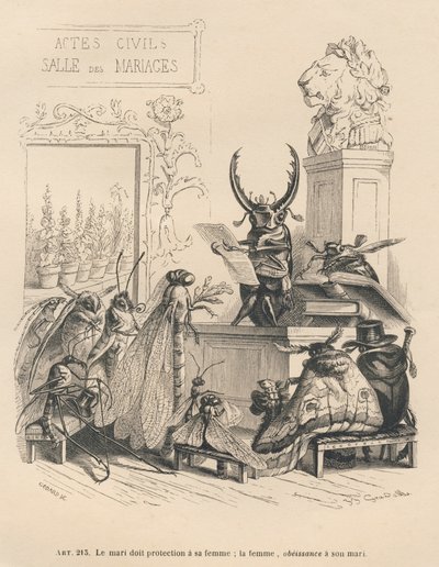 Bryllupsløfter for insekter. Miniatyrbilder illustrert av JJ Granville. Gravering signert Godard i delen med tittelen "The adventures of a butterfly" skrevet av PJ Stahl i "Scener fra dyrenes private og offentlige liv". Paris, J. Hetzel og Paulin av Grandville
