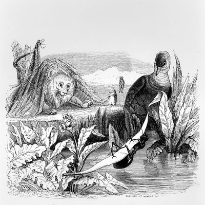 The Dove and the Ant and the Lion and the Rat, illustrasjon for 