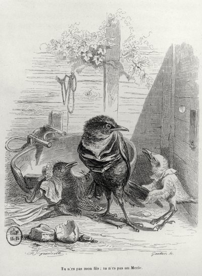 Illustrasjon for LHistoire dun merle blanc, gravert av Gautier av Grandville 1803-47 after Grandville 1803-47 after