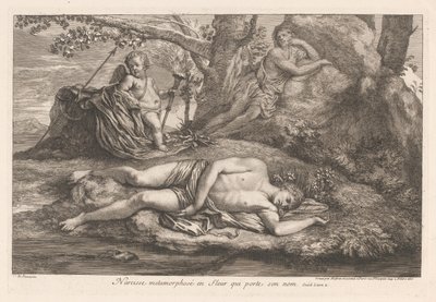 Narcissus i ekko Narcissus metamorfosert til en blomst som bærer navnet hans (tittel på objektet) av Gérard Audran