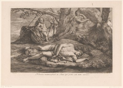 Narcissus i ekko Narcissus forvandlet til en blomst som bærer navnet hans (tittel på objekt) av Gérard Audran