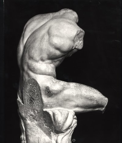 Belvedere torso (marmor) (s/hvitt bilde) av Greco Roman Greco Roman