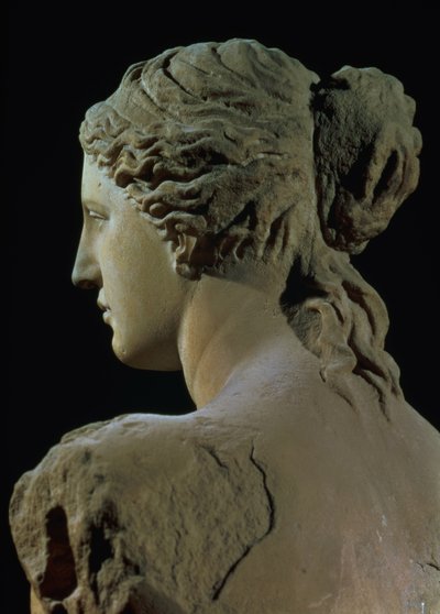 Venus de Milo, detalj av bakhodet, hellenistisk periode, ca. 100 f.Kr. marmor for forfra se 14152 av Greek