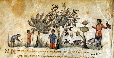 Jakt med falker for å fange fugler - i "" De Venatione"" av Oppianus, gresk manuskript fra 1200-tallet. Biblioteca Marciana. Venezia av Greek School