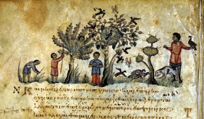 Jakt med falken og fangst av fuglereir. Gresk manuskript av Oppianus De Venatione 1200-tallet. av Greek School