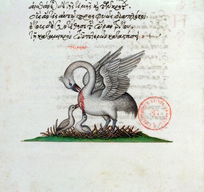 Ms 3401 En pelikan som piercerer brystet for å mate ungene sine, fra et bestiary av Manuel Philes, 1566 av Greek School