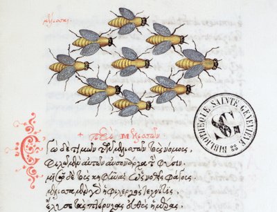 Ms 3402 Bees, fra et bestiary av Manuel Philes, 1566 av Greek School