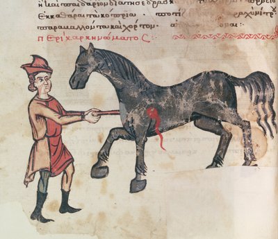 Ms Grec 2244 fol.37v Opererer en hest av Greek School