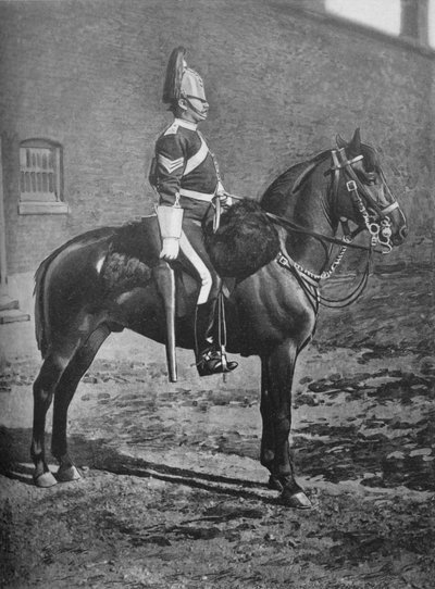 Sersjant, 2nd Dragoon Guards Queens Bays, c1880 av Gregory and Co