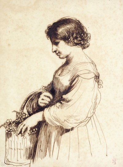 En ung kvinne som holder en fruktkurv, av Guercino