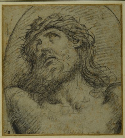 Hode og skuldre til den levende Kristus korsfestet (svart kritt på carta azzurra) av Guido Reni