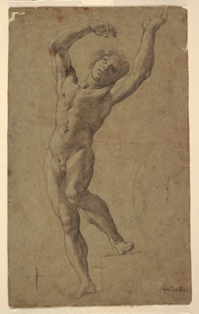 Studie for St. Sebastian, Pomarici Santomasi-museet, Puglia, Italia av Guido Reni
