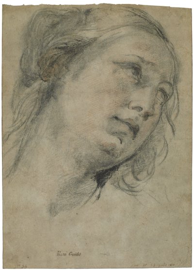The Head of a Young Woman Looking Upward, ca. 1609 (svart og rødt kritt med innslag av hvitt kritt på brunt papir) av Guido Reni
