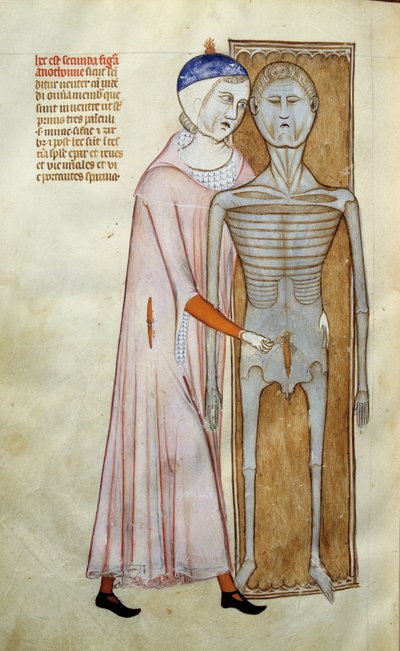 Medisin: anatomi og kirurgisk bord som representerer en disseksjonsscene - Side hentet fra manuskriptet "Liber notables of Philip the seventh king of the franks, extracted from the books of Galien"" av Gui de Pavie av Guido da Vigevano da Pavia