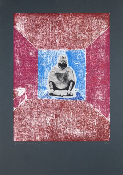 Invisible Room nº2, 2019 (tresnitt og silketrykk) av Guilherme Pontes