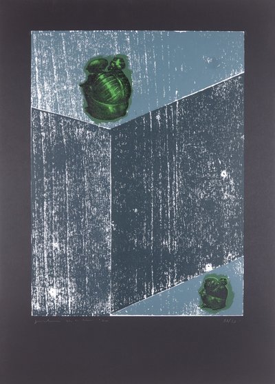 Invisible Room nº8, The Dream Of My Soul, 2019 (tresnitt og silketrykk) av Guilherme Pontes