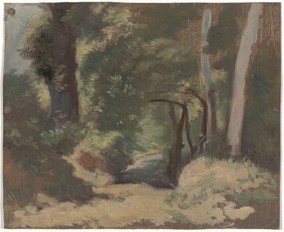 skogsvei av Guillaume Anne van der Brugghen
