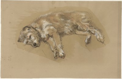 liggende hund av Guillaume Anne van der Brugghen