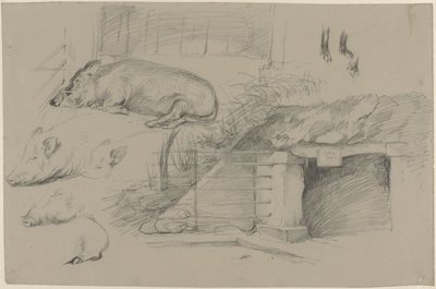 Skisseark med studier av griser i villsvinparken i Artis av Guillaume Anne van der Brugghen