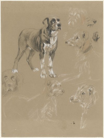 Studier av en hund av Guillaume Anne van der Brugghen