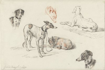 Studier av hunder av Guillaume Anne van der Brugghen