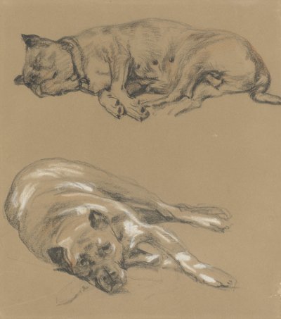 To studier av en liggende hund av Guillaume Anne van der Brugghen