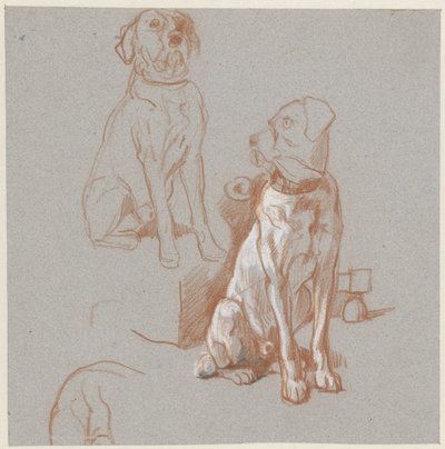 To studier av en sittende hund av Guillaume Anne van der Brugghen