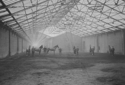 Hester og brudgom i Tan Gallop, Welbeck Estate (s/hv-bilde) av Gunn and Stuart