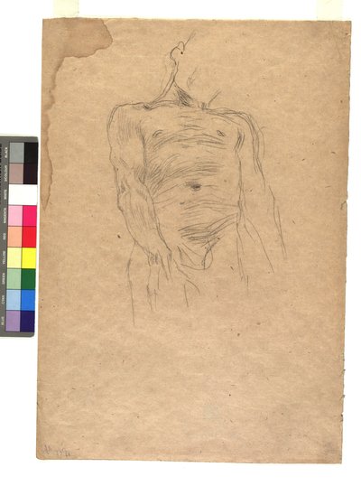 Mannlig torso av Gustav Klimt