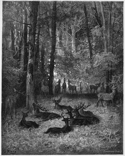 Le cerf malade - The sick deer - from 