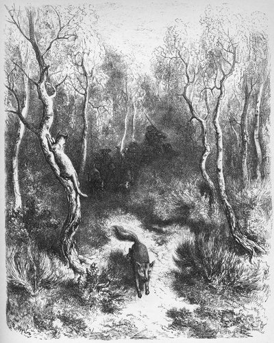le chat et le fox - The Fox and the Cat - fra 'Fables' av Jean de La Fontaine (Lafontaine) (1621-95) - gravering etter Gustave Dore (1832-83) - Privat samling av Gustave (after) Dore