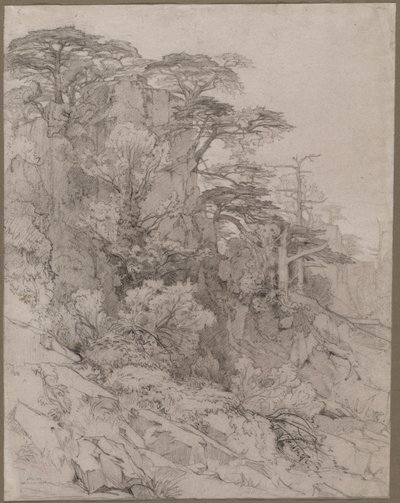 Trær i en steinete åsside av Gustave Achille Guillaumet