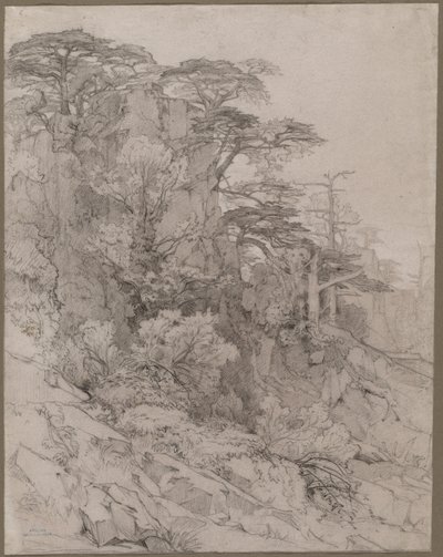 Trees of a Rocky Hillside, sent på 1800-tallet. av Gustave Achille Guillaumet