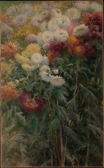Krysantemum i hagen i Petit-Gennevilliers av Gustave Caillebotte