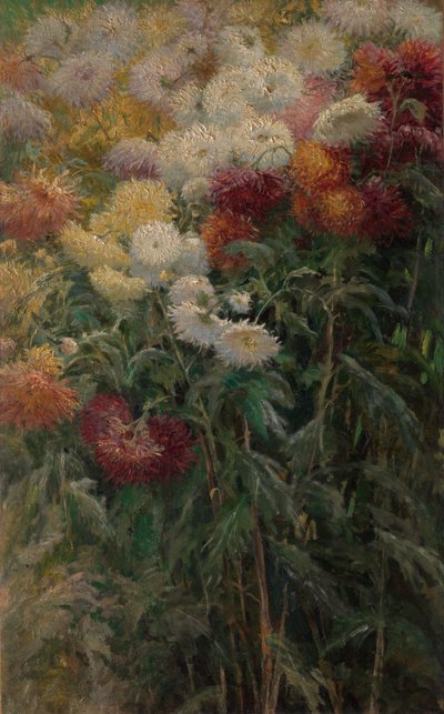 Krysantemum i hagen ved Petit-Gennevilliers av Gustave Caillebotte