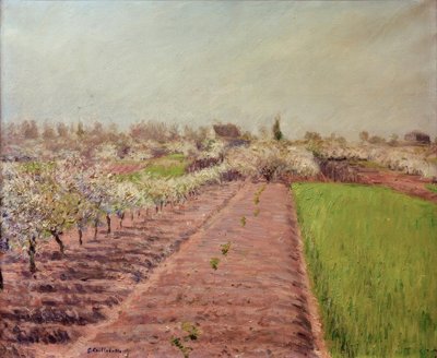 Epletrær i blomst, åssiden av Colombes av Gustave Caillebotte