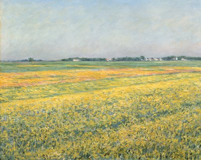 Sletten av Gennevilliers, gule felt; La plaine de Gennevilliers, champs jaunes, 1884 av Gustave Caillebotte