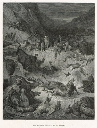  av Gustave Dore