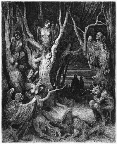Harpies, illustrasjon fra 