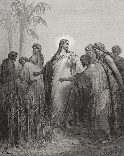 Jesus og hans disipler i kornåkeren, illustrasjon fra Dores 