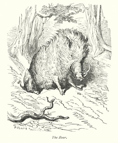 Villsvinet (gravering) av Gustave Dore