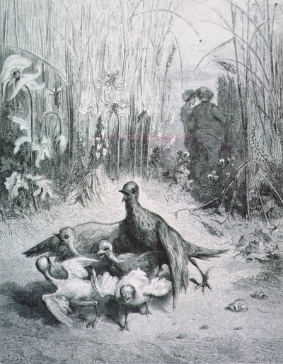 The Fable of the Lark, hennes unge og feltets mester, illustrasjon for Fables of La Fontaine rnrn av Gustave Dore