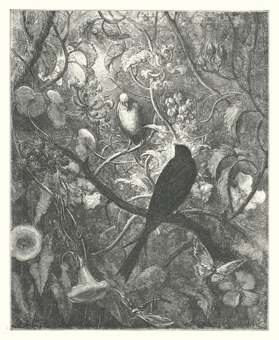  av Gustave Dore