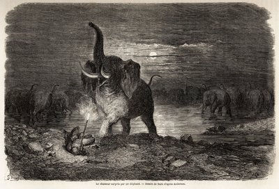 Jegeren overrasket av en elefant, nær Lake Ngami (Botswana), tegning av Gustave dore (1832-1883), for å illustrere eventyrene og jaktene til Charles Jean Anderson i det sørlige Afrika. Gravering i "" Le tour du monde, nouveau journal des voyages& av Gustave Dore