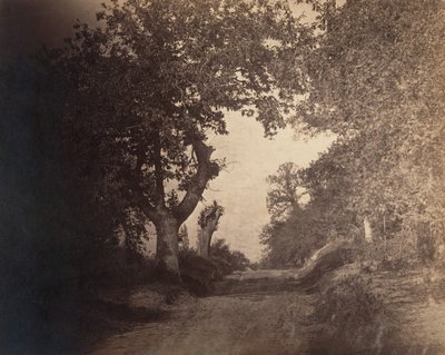 Fontainebleau, sandsti oppover, ca. 1856. av Gustave Le Gray